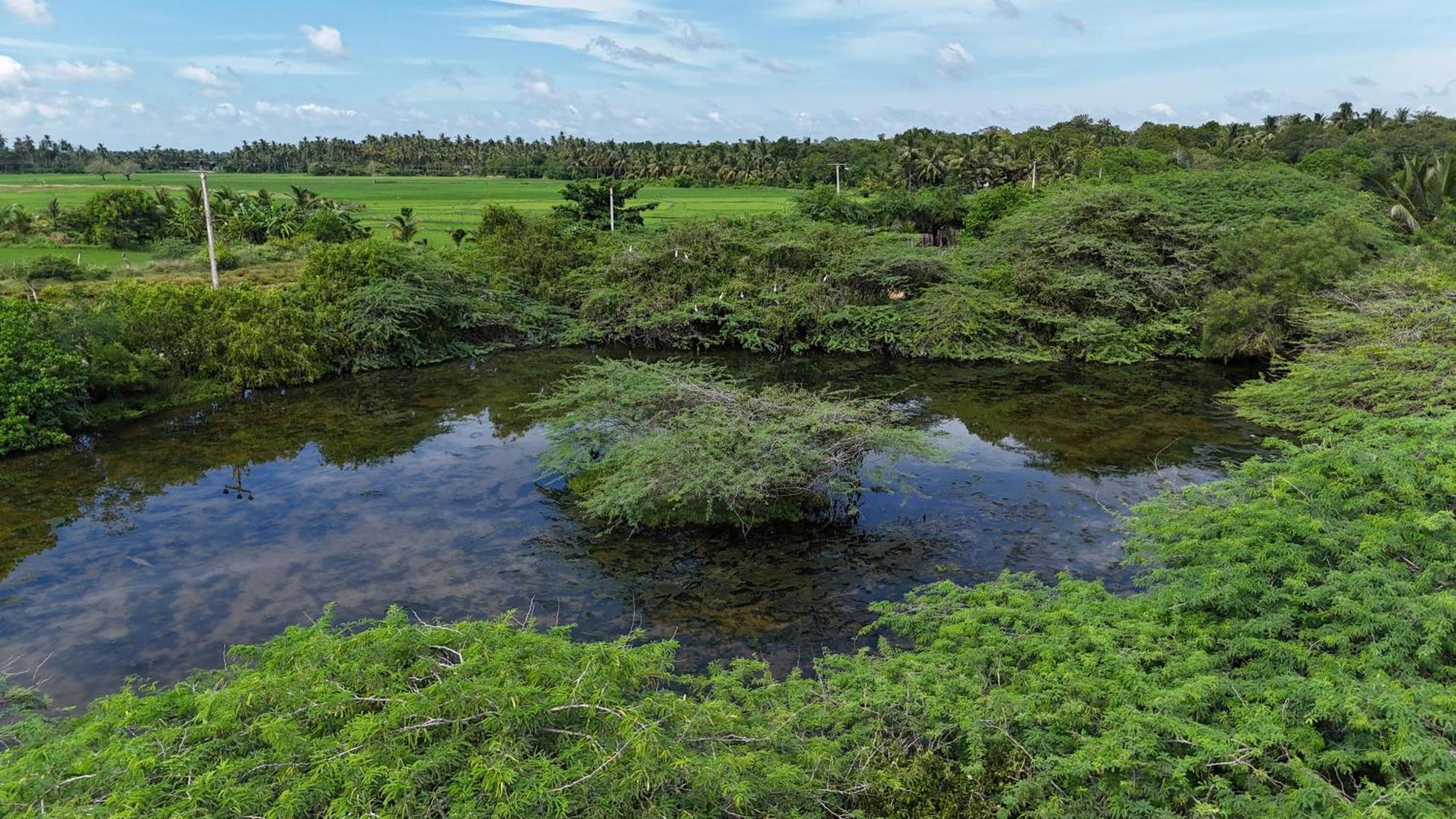 Suduweli Beauties Of Nature - Yala Kirinda (Hambantota) Exterior foto