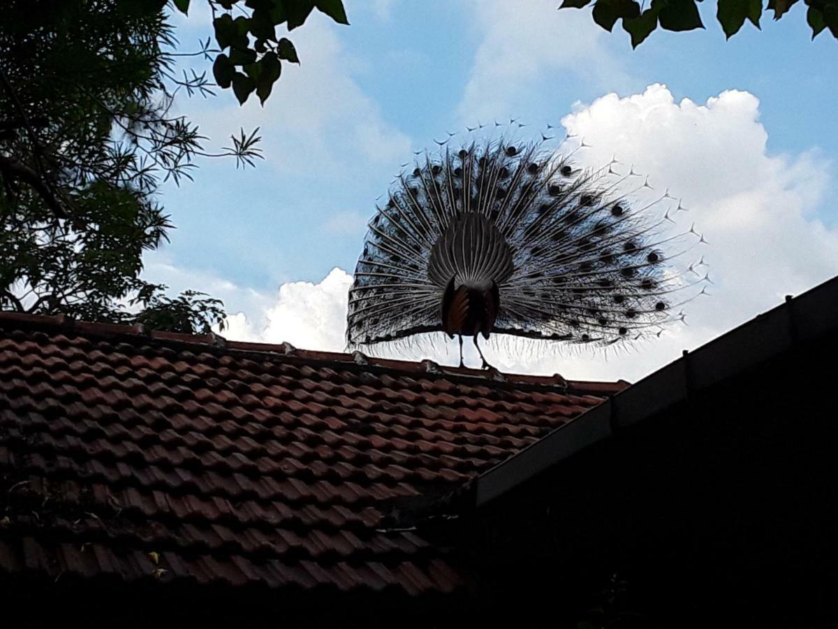 Suduweli Beauties Of Nature - Yala Kirinda (Hambantota) Exterior foto